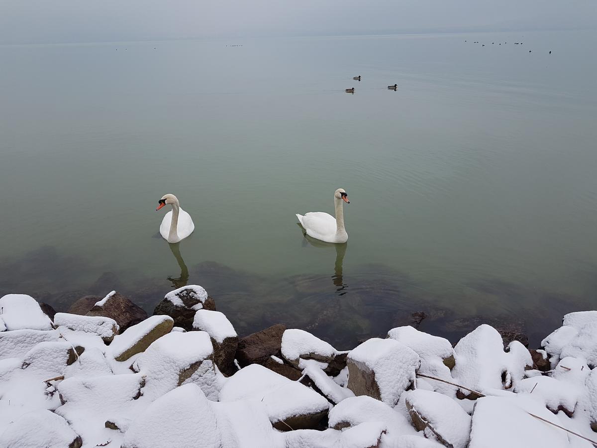 Hotel Saba-Haz Balatonboglár Zewnętrze zdjęcie